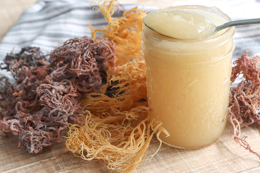 Pre-Order Sea Moss Gel